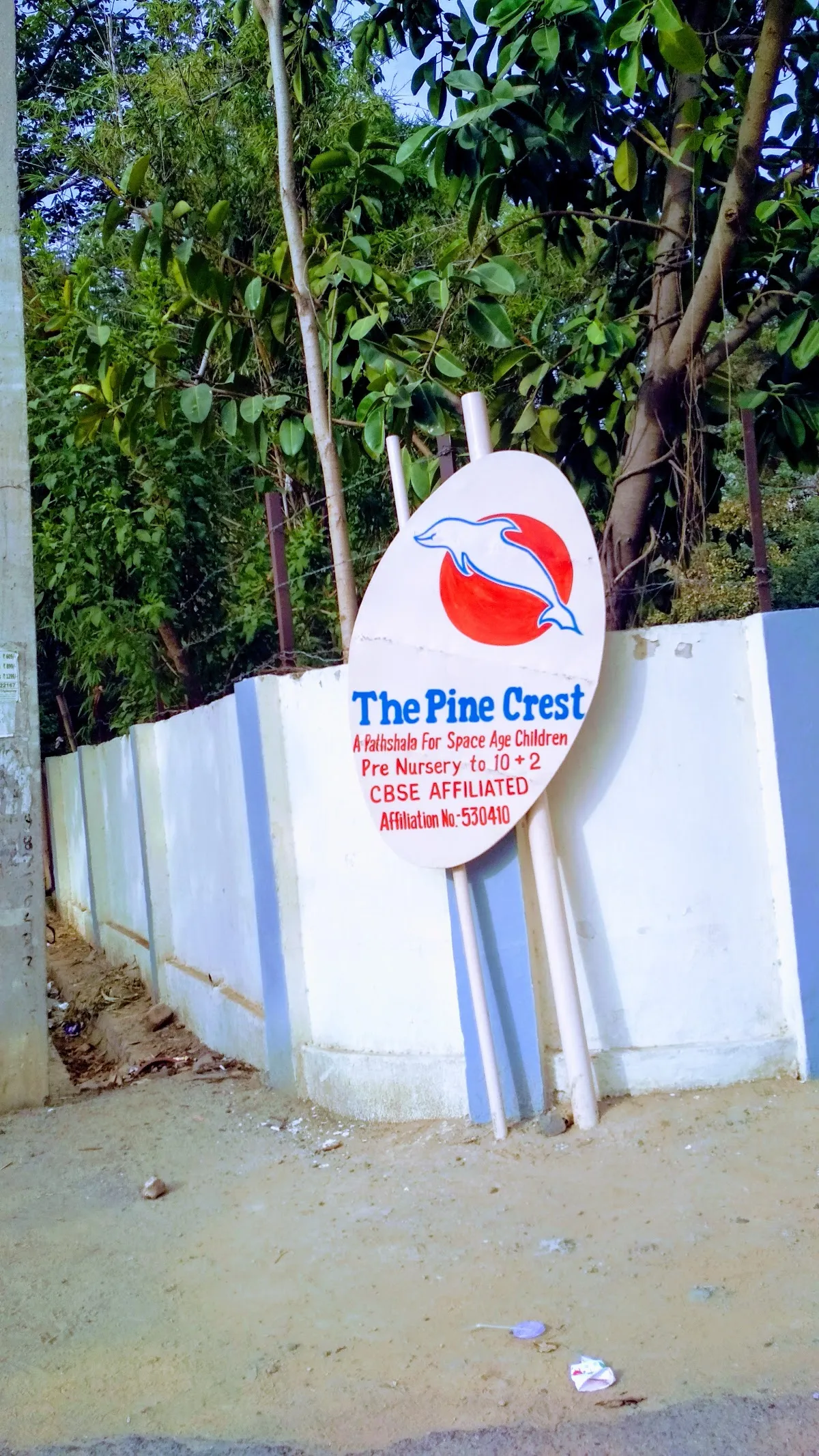 The Pine Crest School photo 6