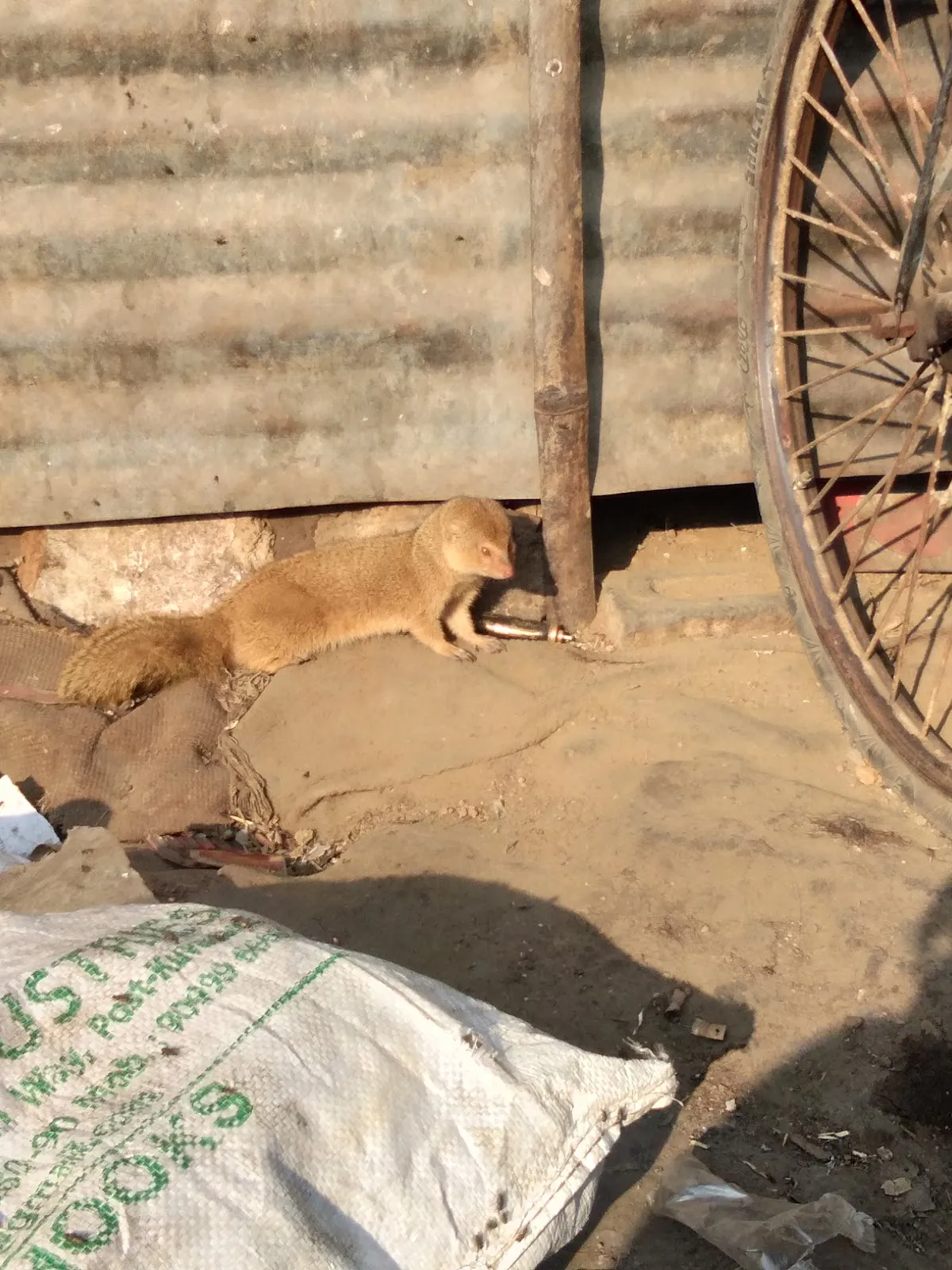 VIDYA Integrated Development for Youth and Adults photo 6